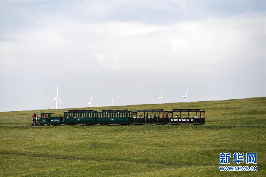 7月30日，游客在辉腾锡勒（黄花沟）草原旅游区乘坐观光火车。新华社记者 刘磊 摄