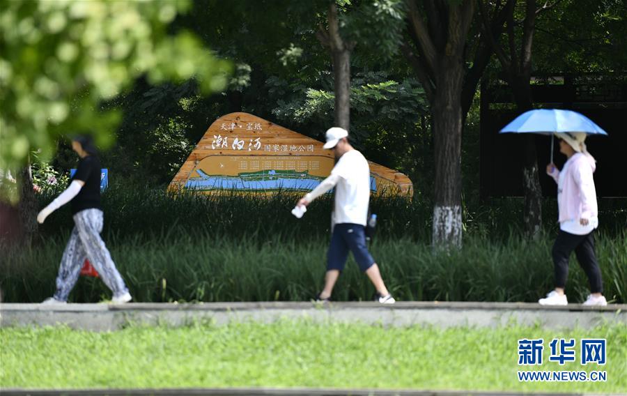 8月3日，人们在潮白河国家湿地公园内散步。 天津市宝坻区潮白河国家湿地公园总面积超5000公顷，公园以潮白河为主轴，依托两岸植被建设生态廊道，形成以湿地体验、滨水游憩为主的开放式公园。据了解，2019年底，潮白河国家湿地公园通过验收，成为天津市首批国家级湿地公园。 新华社记者 李然 摄