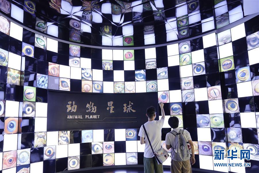 #(社会)(2)走进博物馆 科普学习度暑假