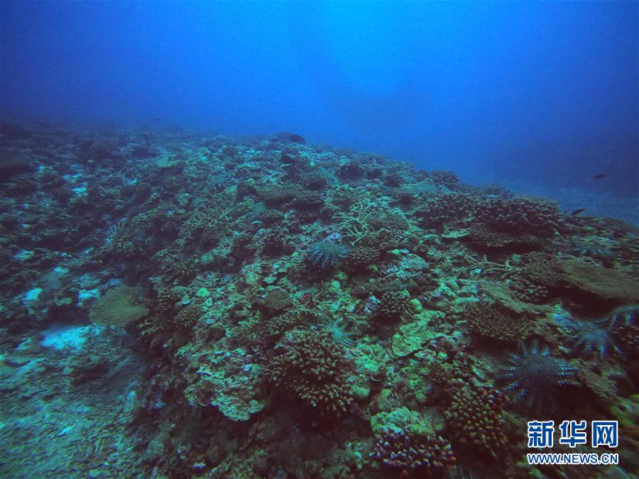 （图文互动）（1）中沙群岛综合科学考察项目2020年度综合航次任务完成
