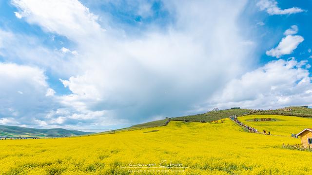 8月西北最佳3个避暑景点,夏日平均气温20度!游客:值得去