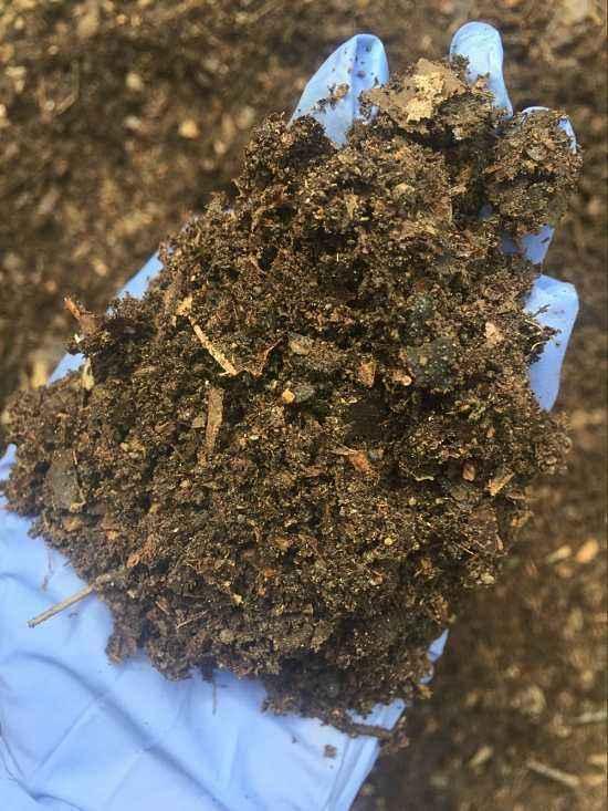 养花的5个“窍门”，简单实用，花长得茂盛不怕烂根！