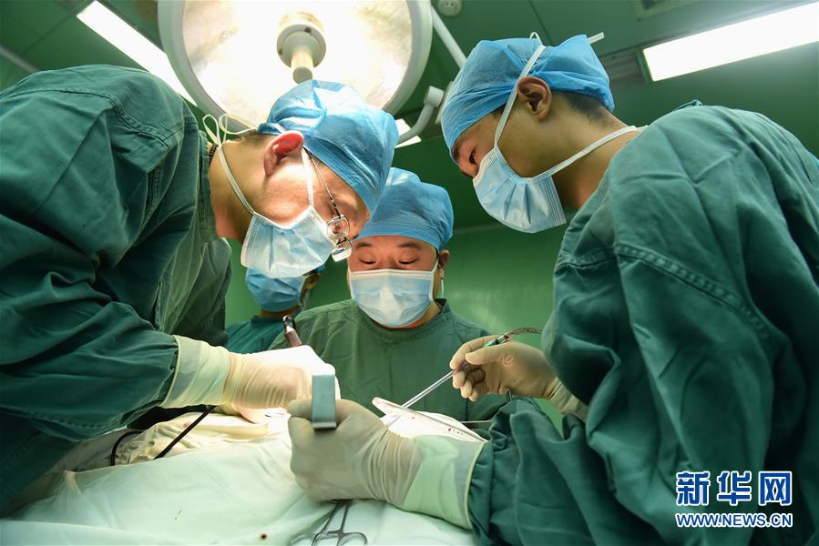 8月19日，在河北省石家庄新乐市医院手术室，医护人员在为患者做手术。 当日是中国医师节，各地医师坚守岗位，在工作中度过自己的节日。 新华社发（贾敏杰 摄）