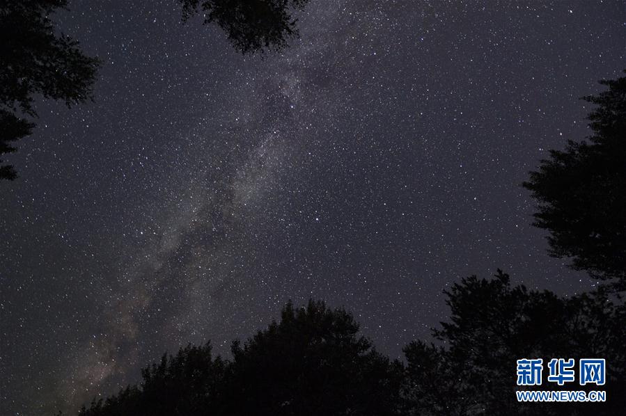 8月20日在华夏东极森林公园内拍摄的星空（长时间曝光照片）。华夏东极森林公园位于黑龙江省抚远市，临近中俄边界，公园包含南山、西山、蛇山等山体，覆盖浓江河、大力加湖等水体，资源组合程度较高，是全国少有的“山、水、城、边”各色风光齐聚的森林公园。 时下，“华夏东极”的夜晚星空深邃而明亮，宛如一幅画卷。 新华社记者 谢剑飞 摄