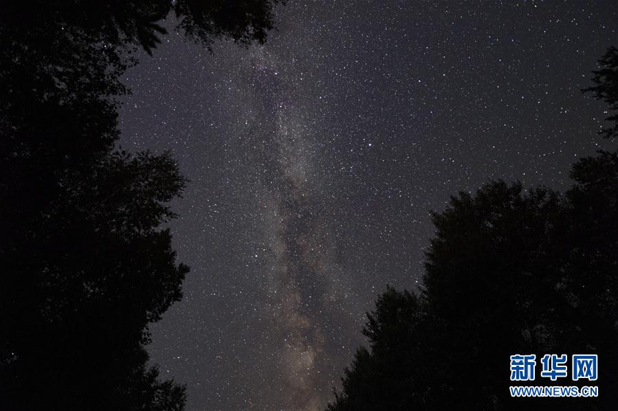 8月20日在华夏东极森林公园内拍摄的星空（长时间曝光照片）。 新华社记者 谢剑飞 摄
