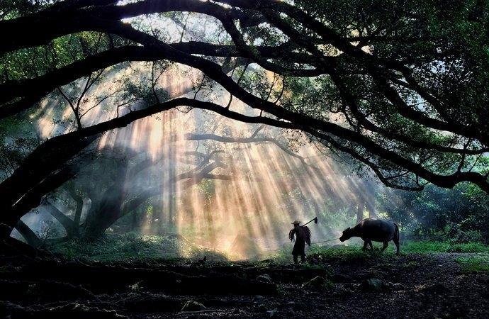 9-10月最佳旅行榜单推荐 | 这6个地方一入秋颜值就逆天了