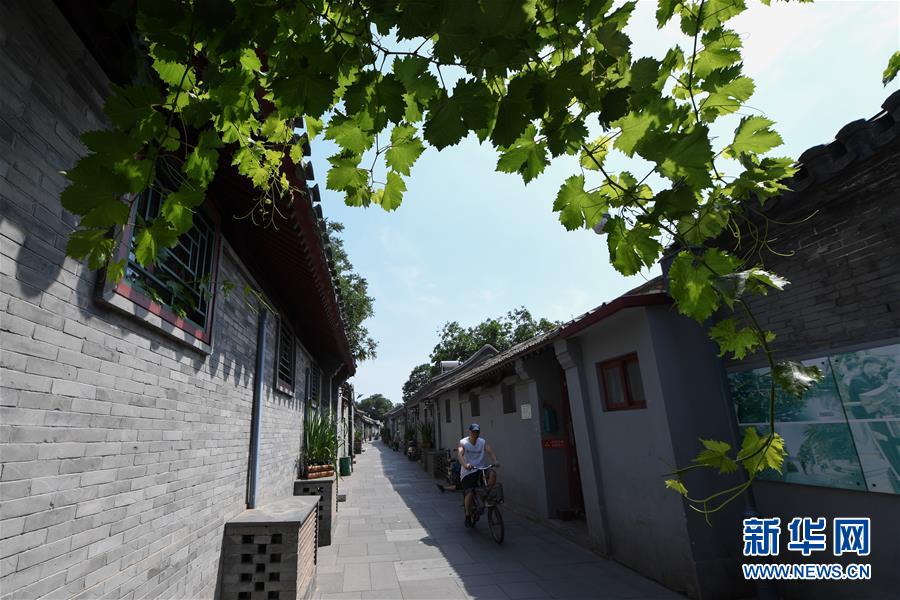 市民骑行在北京市东城区草厂四条胡同（6月12日摄）。 新华社记者 鞠焕宗 摄走向我们的小康生活丨小桥、流水、书香、人家——老北京胡同里的恬静栖居