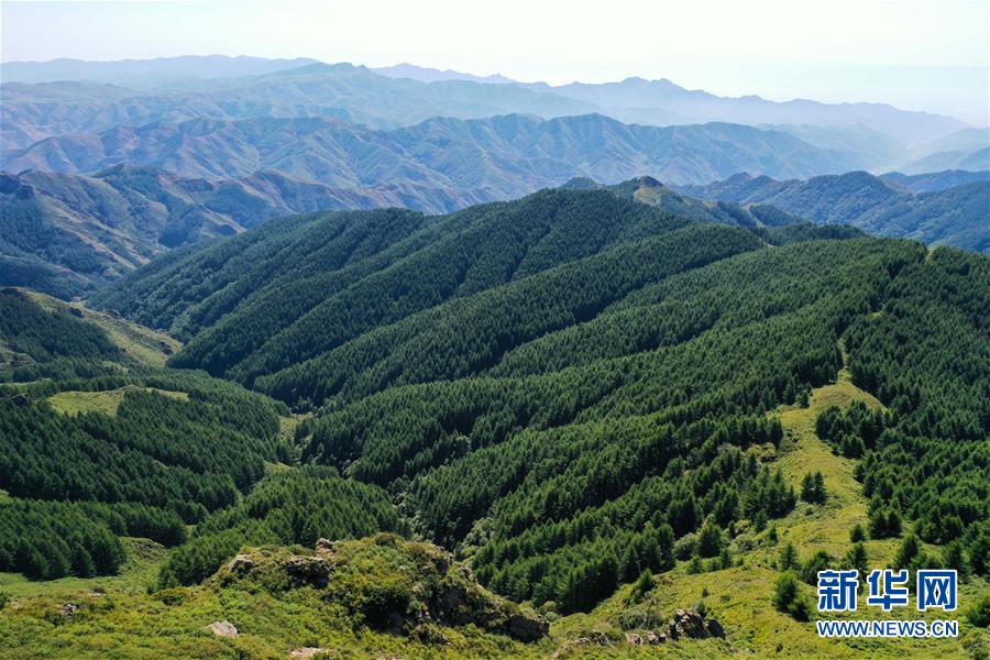 这是8月27日拍摄的苏木山森林公园（无人机照片）。 近日，位于内蒙古自治区乌兰察布市兴和县的苏木山森林公园绿意浓浓，景色宜人。 新华社记者 李志鹏 摄
