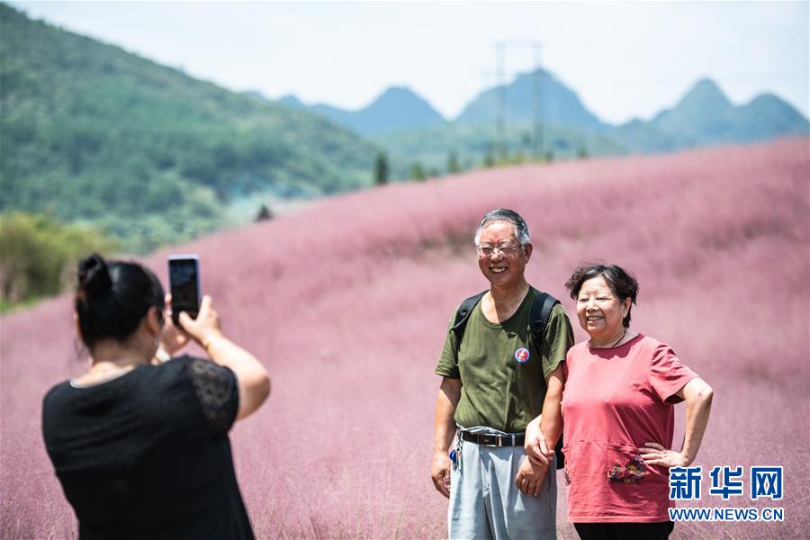 9月2日，游客在长顺县神泉谷景区内拍照留念。 近日，贵州省黔南布依族苗族自治州长顺县神泉谷景区内的粉黛乱子草进入盛开期，成片的“粉色海洋”吸引众多游客前来观赏游玩。 新华社记者 陶亮 摄