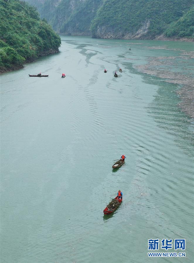 #（环境）（1）湖南张家界：清理漂浮物 守护美丽河道