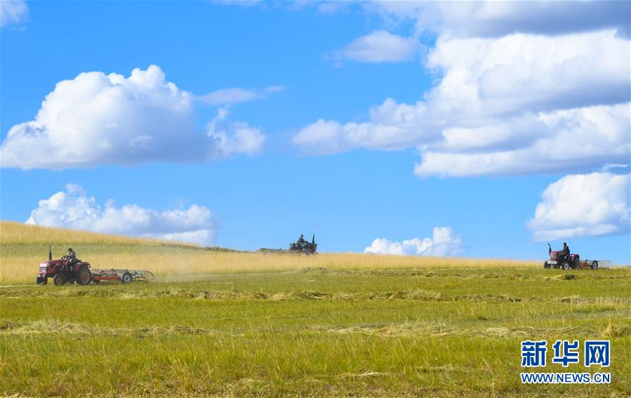 9月7日，内蒙古锡林郭勒盟牧民操作机械在草原上打草。 目前，内蒙古锡林郭勒盟牧区进入打草季，广大牧民抓紧储备草料，草原一片繁忙景象。 新华社记者 彭源 摄