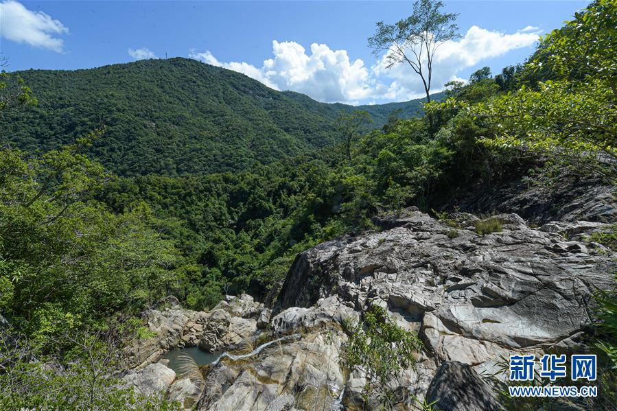 (环境)(1)探访海南热带雨林国家公园