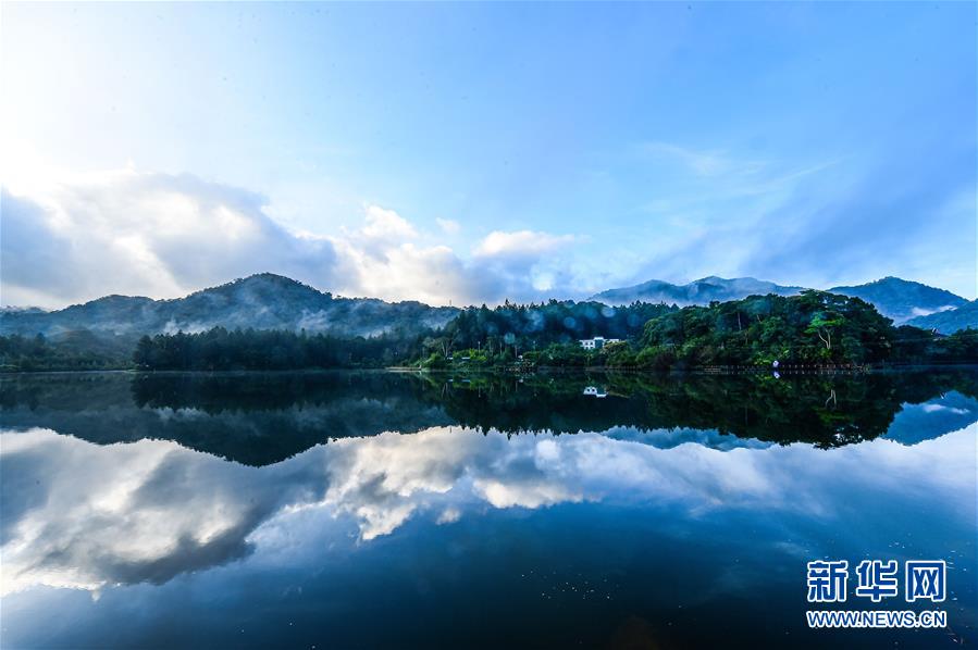 (环境)(3)探访海南热带雨林国家公园