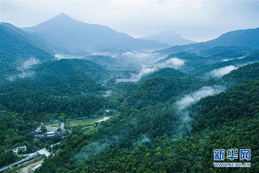 （环境）（7）探访海南热带雨林国家公园