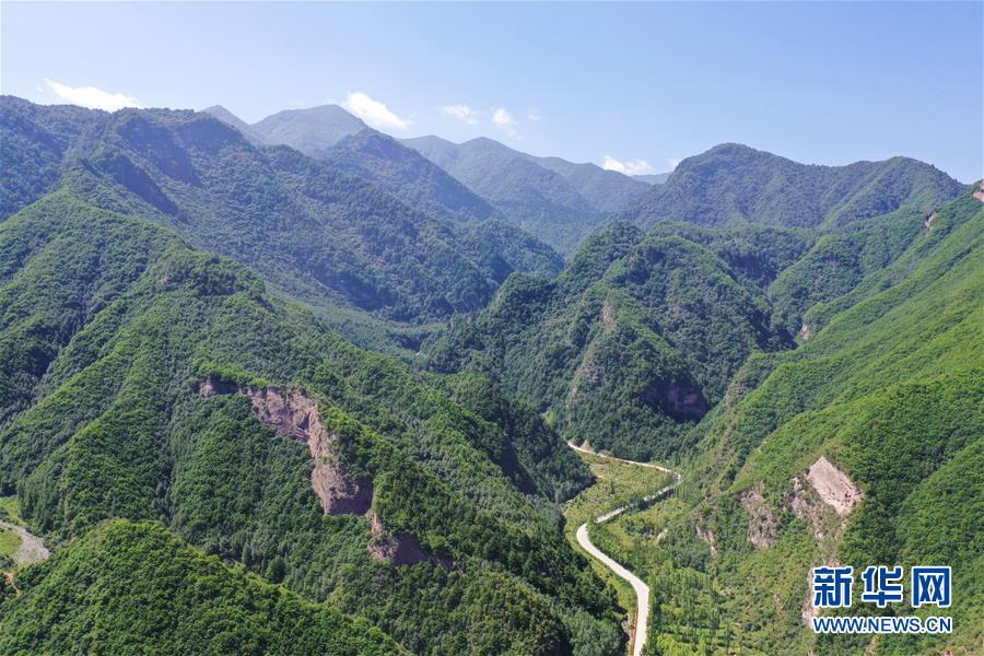 这是8月9日在青海省循化撒拉族自治县拍摄的孟达天池景区（无人机照片）。 循化撒拉族自治县位于青海省东部黄河谷地，地处青藏高原边缘地带，黄河流经循化90多公里。循化县是中国撒拉族的发祥地，黄河沿岸自然景观绚丽多彩、风土人情浓郁独特、丹霞地貌雄伟壮观。 新华社记者 邢广利 摄