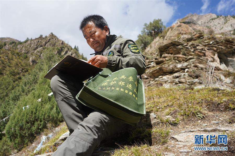 祁连山国家公园青海片区油葫芦管护站的生态管护员王学清在记录巡山情况（9月9日摄）。 新华社记者 蓝翔 摄