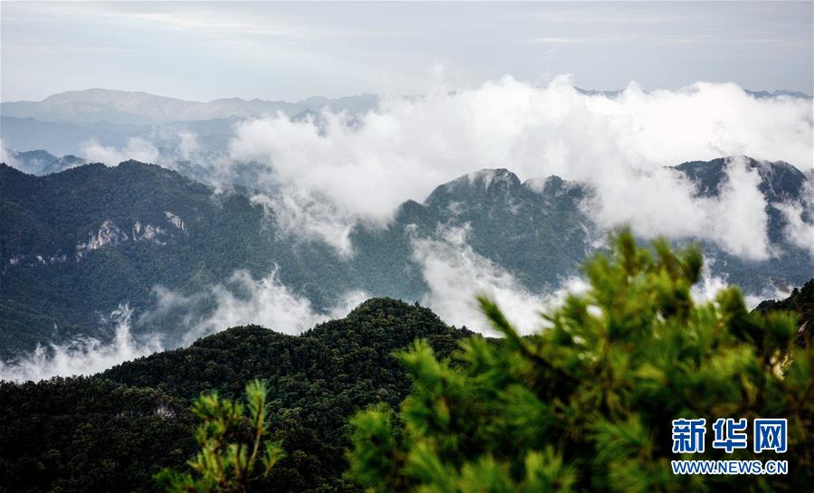 9月17日拍摄的陕西紫柏山国家森林公园。 雨后初霁，位于陕西省汉中市留坝县的紫柏山国家森林公园内云雾升腾，宛如画境。 新华社记者 刘潇 摄