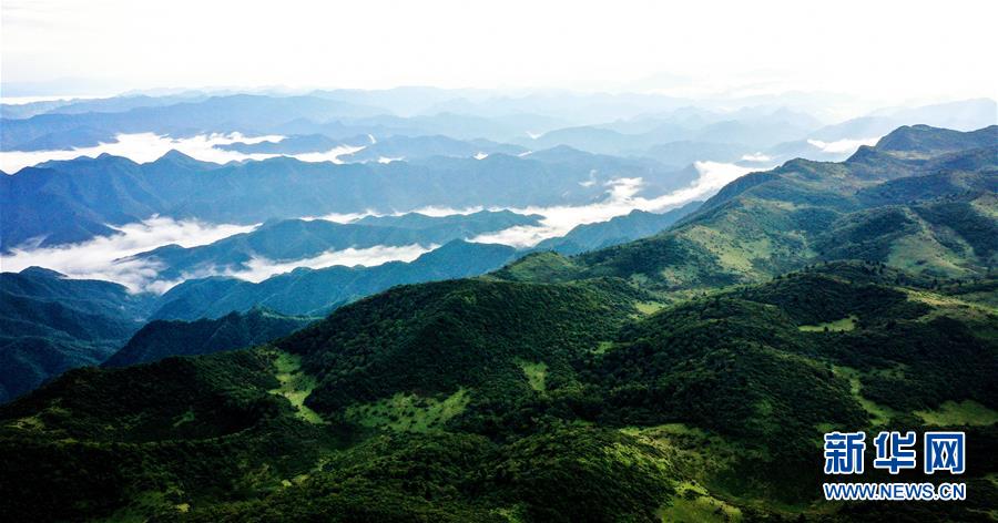 9月17日无人机拍摄的陕西紫柏山国家森林公园。 雨后初霁，位于陕西省汉中市留坝县的紫柏山国家森林公园内云雾升腾，宛如画境。 新华社记者 刘潇 摄