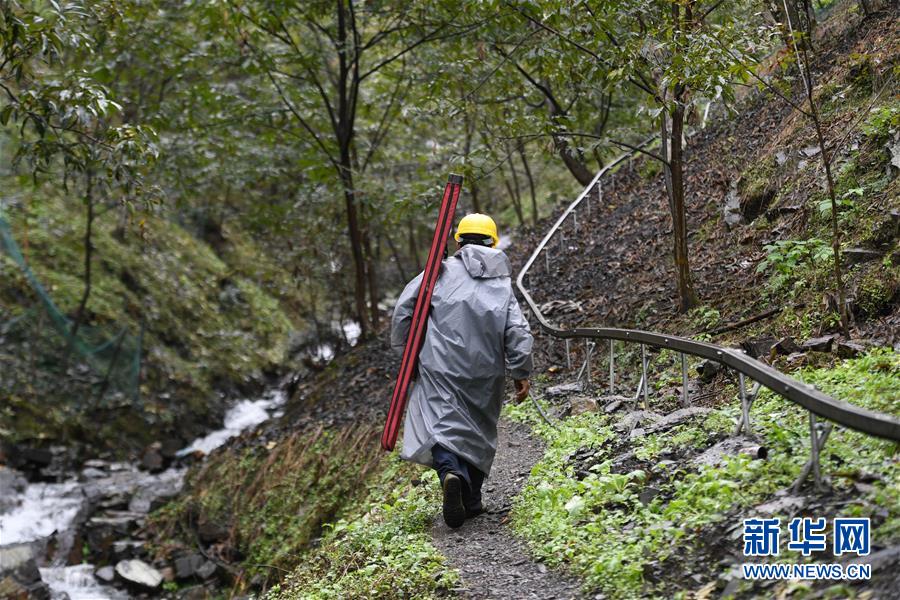 　9月18日，杭州市临安区岛石镇山川村果农携带工具准备上山采收山核桃。 近日，浙江省杭州市临安区传统经济作物山核桃迎来收获季节。据农业部门预计，2020年临安山核桃产量为1.4万吨左右，产量与2019年基本持平。 新华社记者 黄宗治 摄