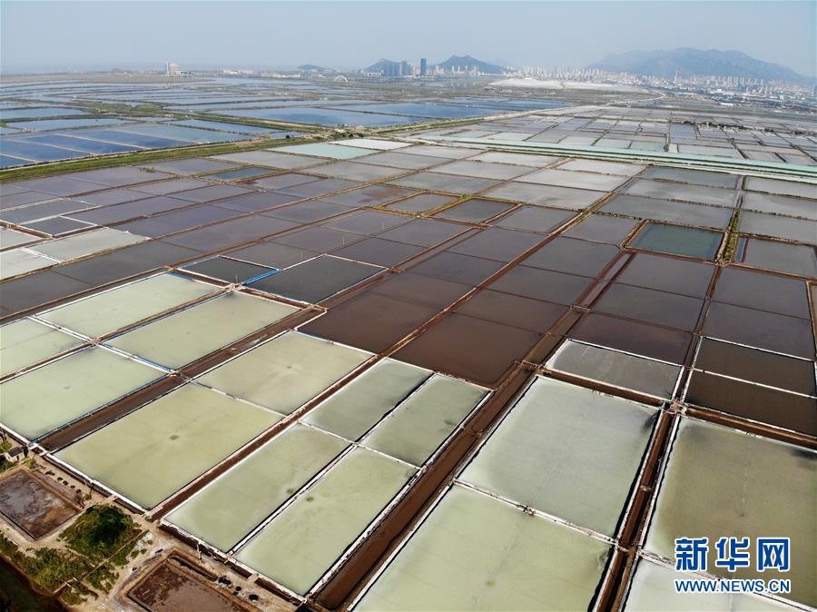 #(社会)(1)江苏连云港:原盐丰收“秋扒”忙