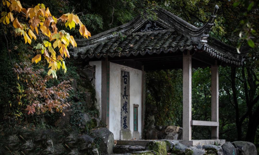 徽州人文山水经典自驾路线,串起安徽江西6县市,秋景居全国前列