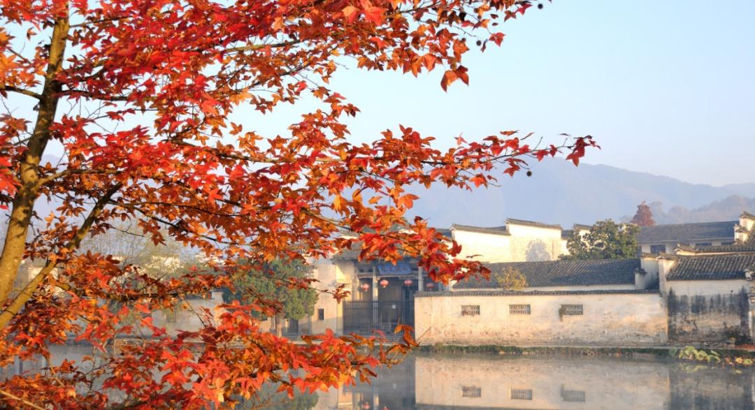 徽州人文山水经典自驾路线,串起安徽江西6县市,秋景居全国前列