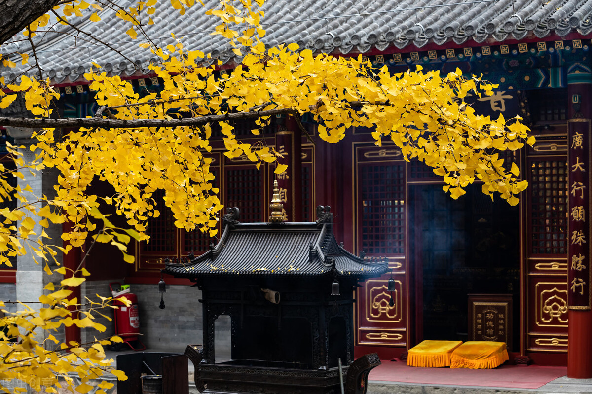 金秋北京最具禅意的7个寺院，美不胜收，赏秋摄影好去处