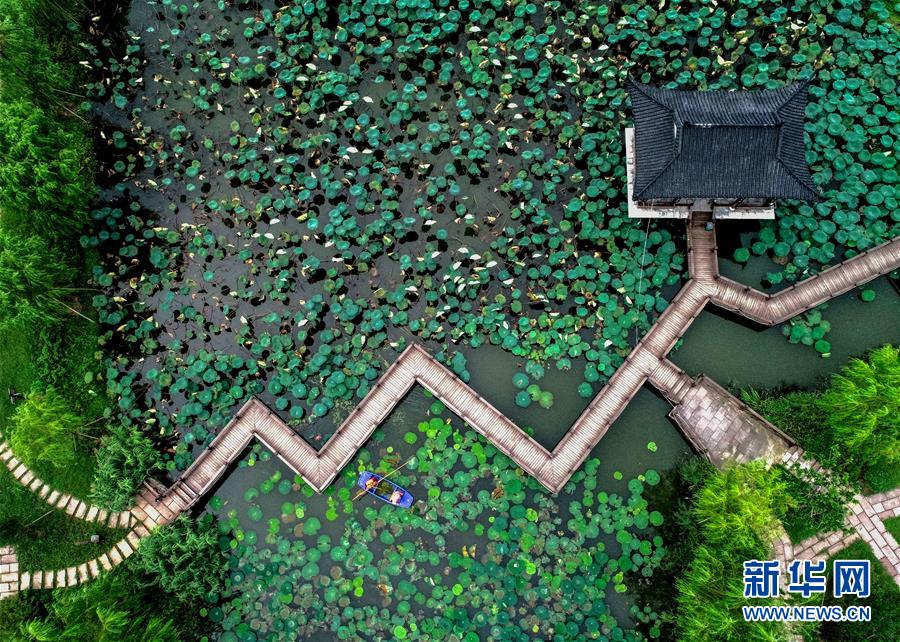 (社会)(2)浙江长兴:清洁水面 扮靓乡村