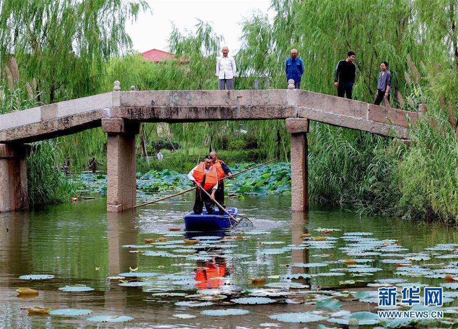 (社会)(3)浙江长兴:清洁水面 扮靓乡村