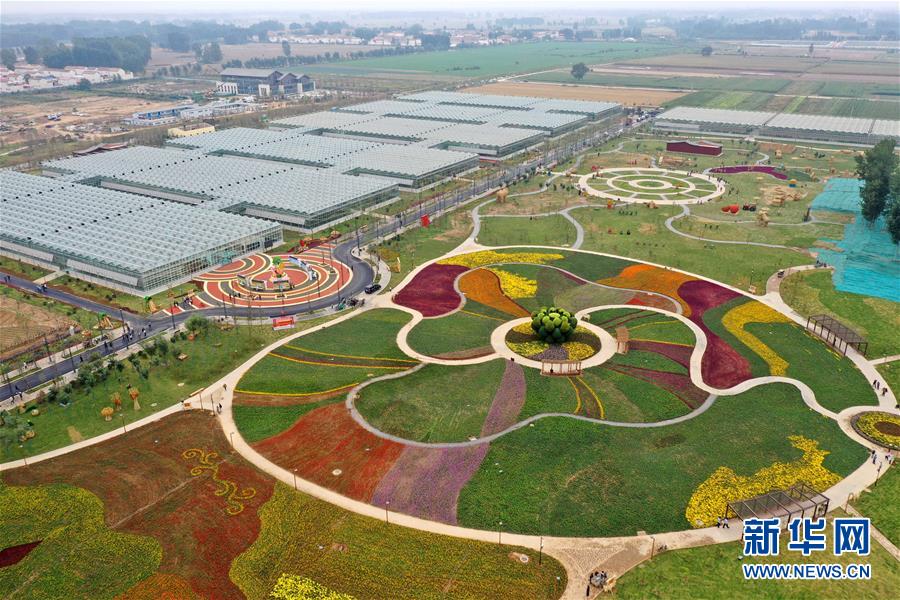 (社会)(3)河南开封:现代农业产业园里庆丰收