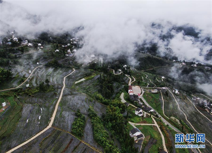 这是9月22日拍摄的大进镇红旗村景象（无人机照片）。 9月22日，重庆市开州区大进镇红旗村一带云雾缭绕，秀美如画。 近年来，红旗村积极探索“村集体经济+专业合作社+农户”的发展模式，大力发展茶叶、柑橘、中药材等产业，帮助当地群众增收致富。同时，红旗村还通过推进危房改造等举措，改善村容村貌和人居环境，乡村面貌焕然一新。 新华社记者 王全超 摄