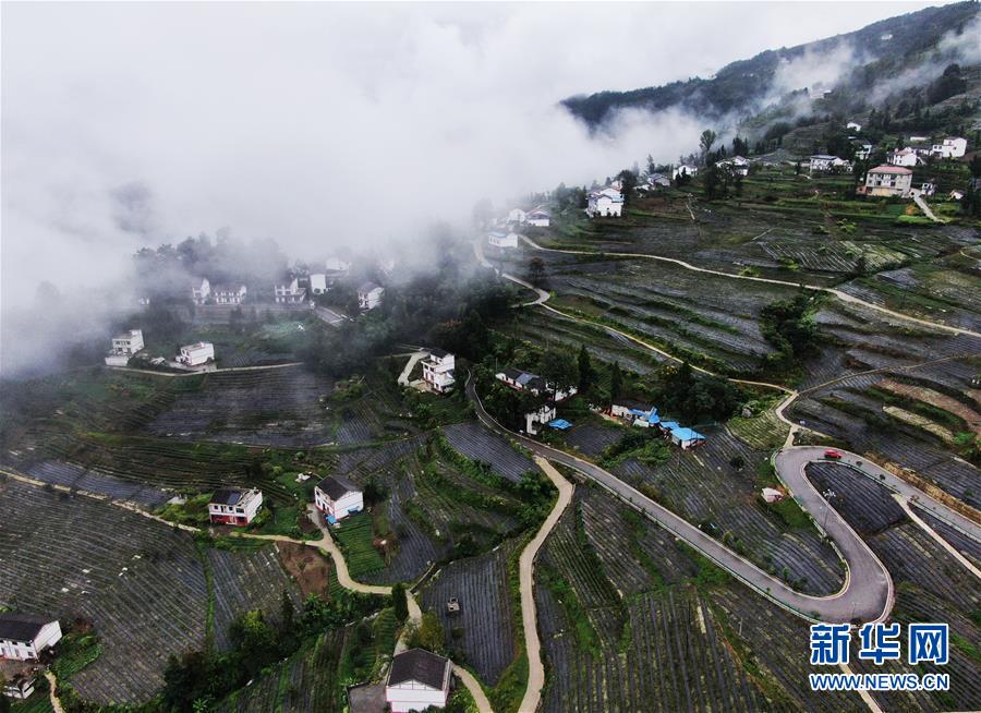 这是9月22日拍摄的大进镇红旗村景象（无人机照片）。 9月22日，重庆市开州区大进镇红旗村一带云雾缭绕，秀美如画。 近年来，红旗村积极探索“村集体经济+专业合作社+农户”的发展模式，大力发展茶叶、柑橘、中药材等产业，帮助当地群众增收致富。同时，红旗村还通过推进危房改造等举措，改善村容村貌和人居环境，乡村面貌焕然一新。 新华社记者 王全超 摄