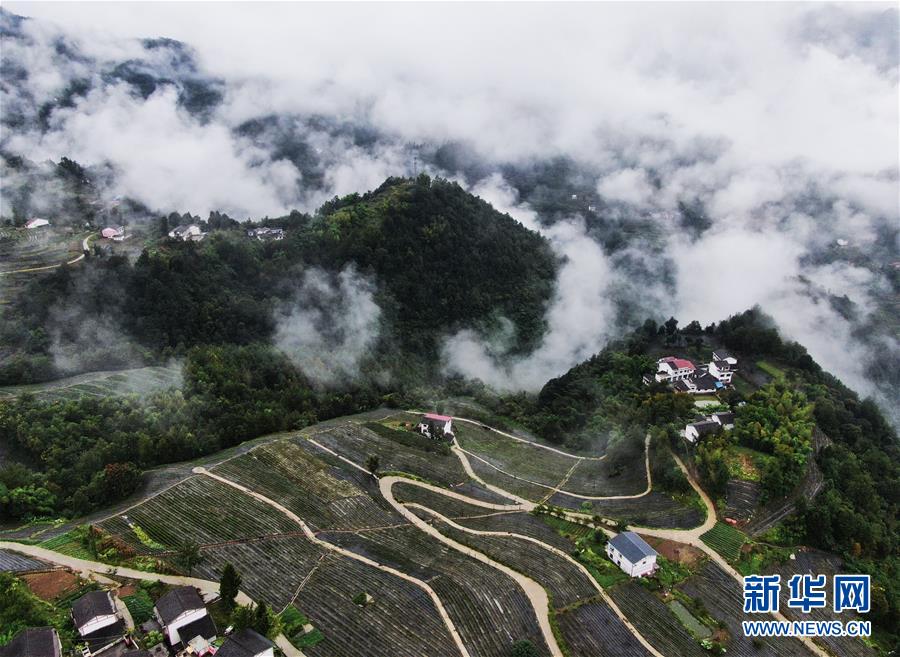 这是9月22日拍摄的大进镇红旗村景象（无人机照片）。 9月22日，重庆市开州区大进镇红旗村一带云雾缭绕，秀美如画。 近年来，红旗村积极探索“村集体经济+专业合作社+农户”的发展模式，大力发展茶叶、柑橘、中药材等产业，帮助当地群众增收致富。同时，红旗村还通过推进危房改造等举措，改善村容村貌和人居环境，乡村面貌焕然一新。 新华社记者 王全超 摄