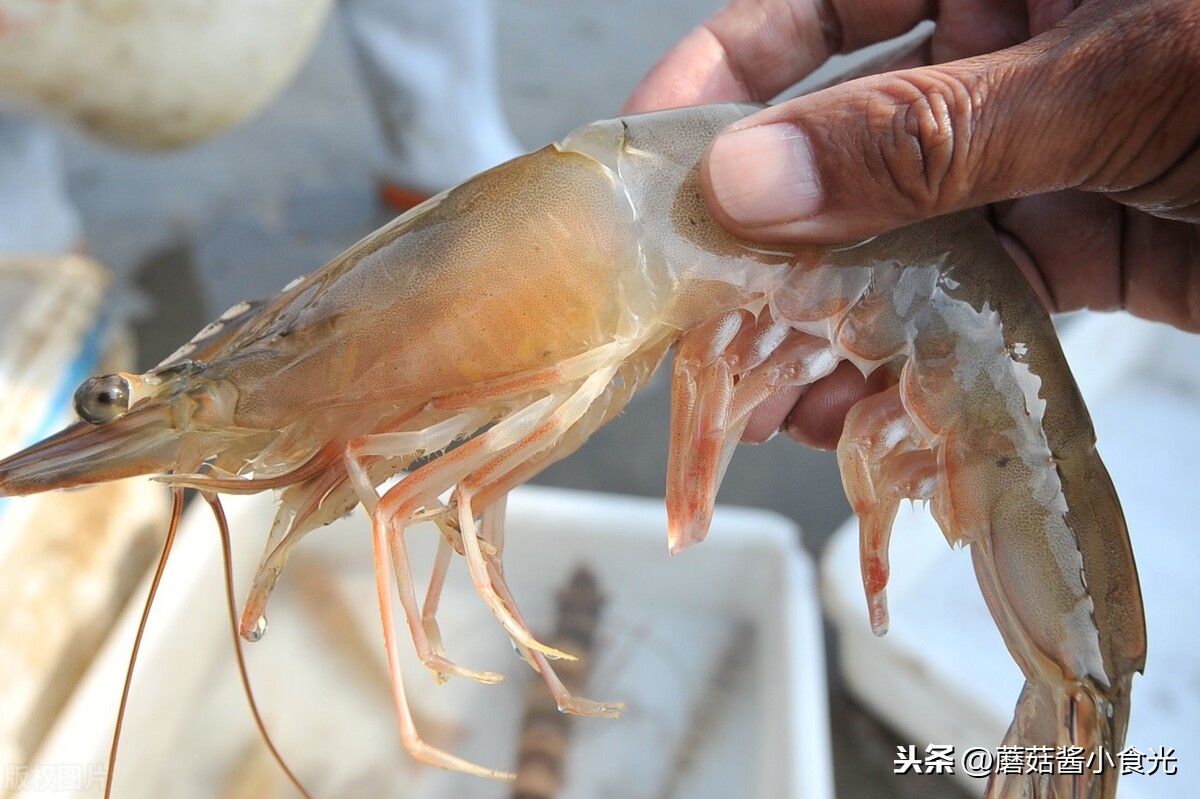 买大虾可不能只看个头和价格,记住3买3不买,轻松挑到好大虾