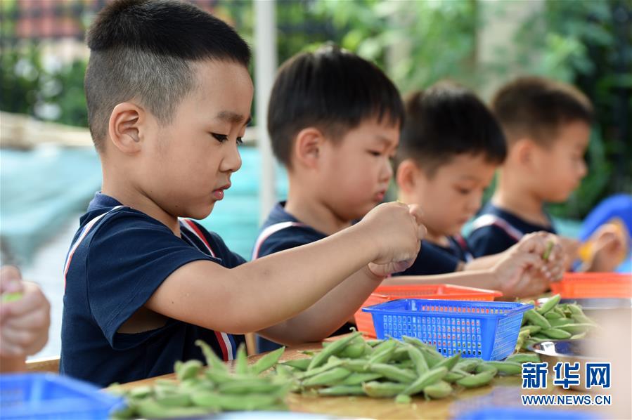 （教育）（3）“快乐采摘”学知识