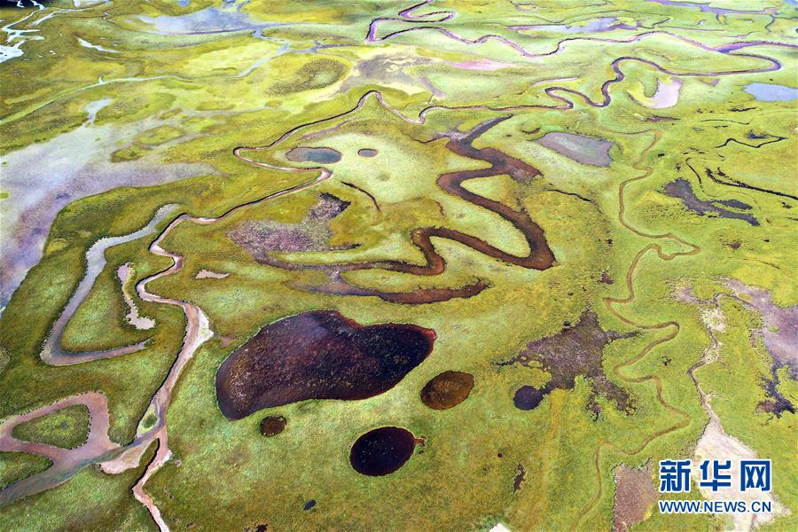 在西藏昌都市贡觉县拉妥乡拍摄的拉妥湿地（9月28日摄，无人机照片）。 位于西藏昌都市贡觉县拉妥乡的拉妥湿地，是澜沧江支流、马曲河上游重要的水源涵养地。湿地内水草丰美，动物众多，生态系统良好。 新华社记者 詹彦 摄