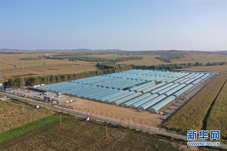 (全面建成小康社会“百城千县万村调研行”·图文互动)(5)内蒙古兴安盟:“最穷地”的逆袭