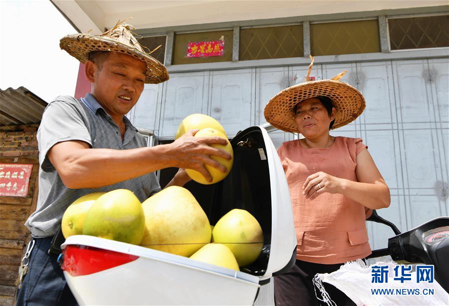 卢林和（左）和爱人搬运刚采摘的蜜柚（9月17日摄）。 新华社记者 魏培全 摄