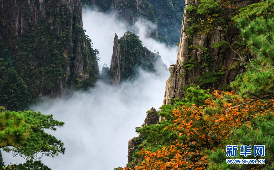 10月5日拍摄的黄山风景区，秋意渐浓。