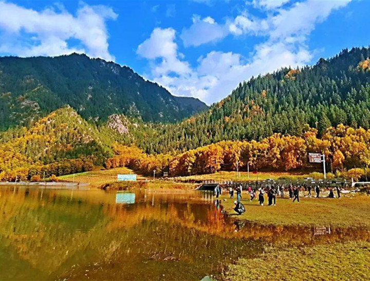 秋天旅游必去打卡的最美秋色,秋高气爽,云淡风轻,让人陶陶欲醉