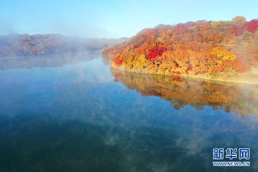 这是10月12日拍摄的大青沟国家级自然保护区小青湖秋景（无人机照片）。 眼下，位于内蒙古自治区通辽市科尔沁左翼后旗的大青沟国家级自然保护区秋意正浓，斑斓多彩的秋景令人陶醉。 新华社记者 刘懿德 摄