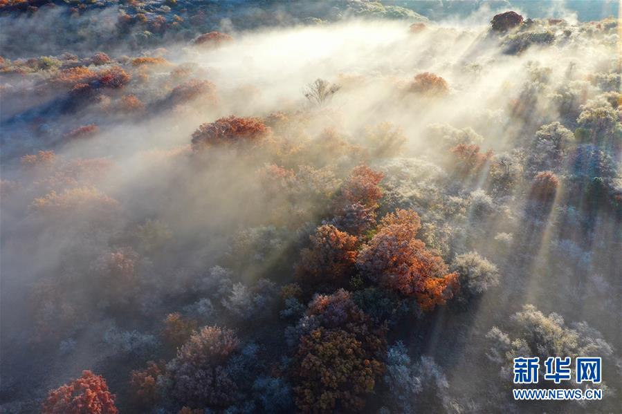 这是10月12日拍摄的大青沟国家级自然保护区秋景（无人机照片）。 眼下，位于内蒙古自治区通辽市科尔沁左翼后旗的大青沟国家级自然保护区秋意正浓，斑斓多彩的秋景令人陶醉。 新华社记者 刘懿德 摄