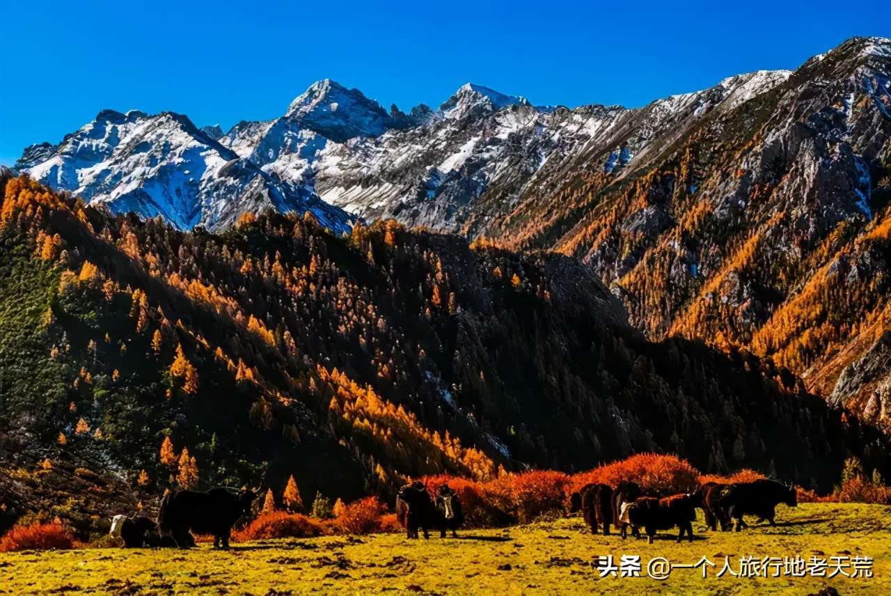 国内十大户外穿越线路，骨灰级玩家最爱，去过才不枉此生