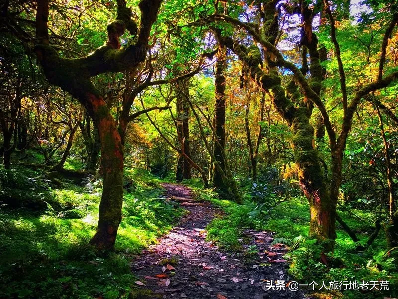 国内十大户外穿越线路,骨灰级玩家最爱,去过才不枉此生