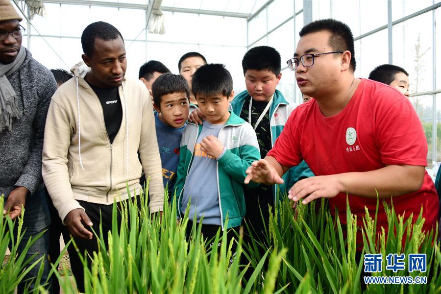 10月16日，中国农业大学曲周实验站学员在农业实验室为学生们讲解农业知识。 当日是世界粮食日，位于河北省邯郸市曲周县的中国农业大学曲周实验站举办农业开放日活动，组织学生们走进农业实验站，学习农业科技知识，增强孩子们节粮、爱粮的意识。 新华社记者 朱旭东 摄