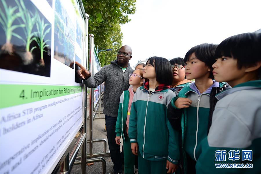 10月16日，中国农业大学曲周实验站留学生学员为学生们讲解农业科技知识。 当日是世界粮食日，位于河北省邯郸市曲周县的中国农业大学曲周实验站举办农业开放日活动，组织学生们走进农业实验站，学习农业科技知识，增强孩子们节粮、爱粮的意识。 新华社记者 朱旭东 摄