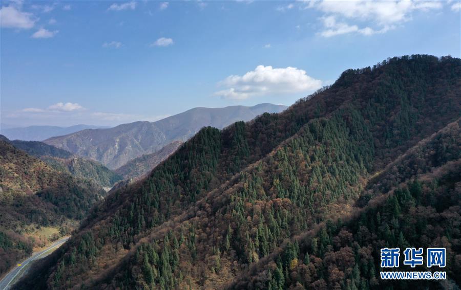 这是10月15日拍摄的北山国家森林地质公园扎龙沟秋景（无人机照片）。 深秋时节，位于青海省海东市互助土族自治县境内的北山国家森林地质公园内，山峦、森林与蓝天组成壮美的秋日画卷。 新华社记者 张宏祥 摄