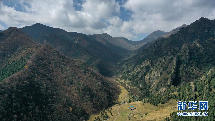 这是10月15日拍摄的北山国家森林地质公园扎龙沟秋景（无人机照片）。 深秋时节，位于青海省海东市互助土族自治县境内的北山国家森林地质公园内，山峦、森林与蓝天组成壮美的秋日画卷。 新华社记者 张宏祥 摄
