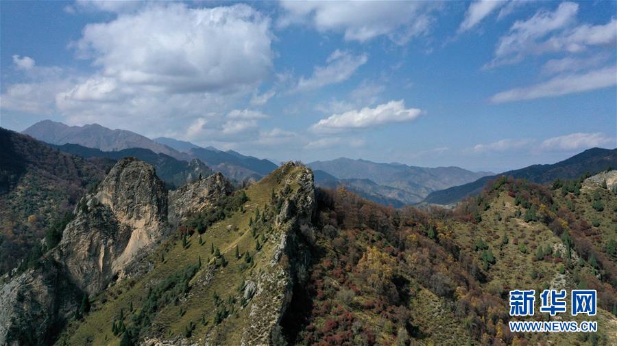 这是10月15日拍摄的北山国家森林地质公园扎龙沟秋景（无人机照片）。 深秋时节，位于青海省海东市互助土族自治县境内的北山国家森林地质公园内，山峦、森林与蓝天组成壮美的秋日画卷。 新华社记者 张宏祥 摄