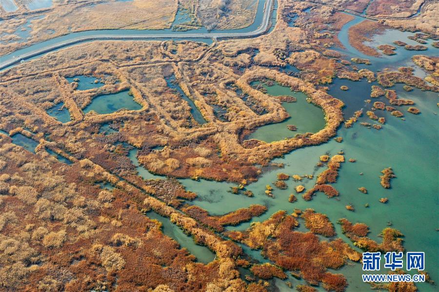 （美丽中国）（1）新疆玛纳斯：秋日湿地画卷